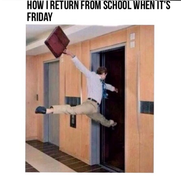 Котик ползет