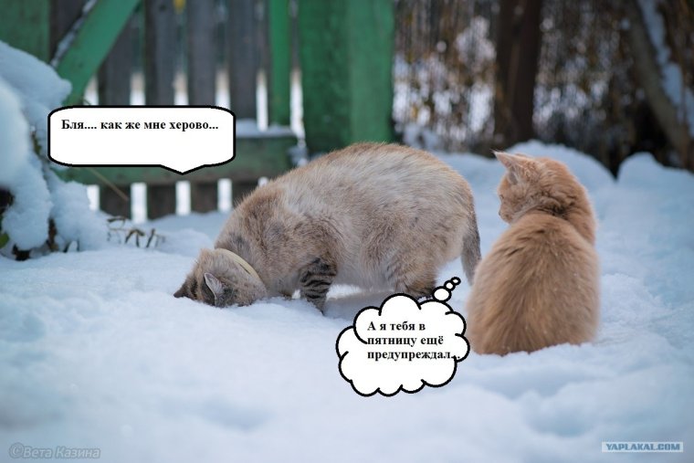 Убегая с работы