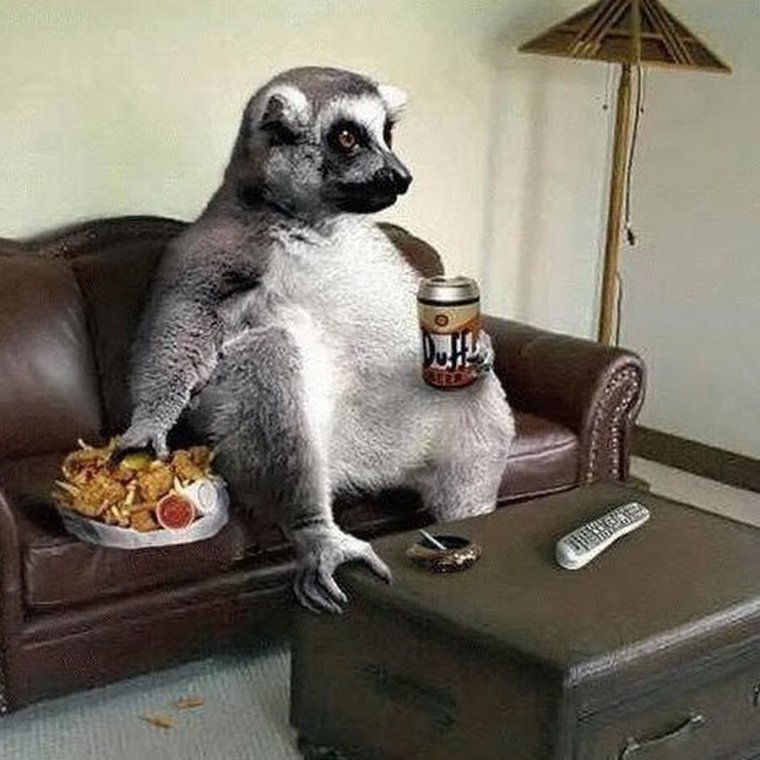 Завтра пятница кот