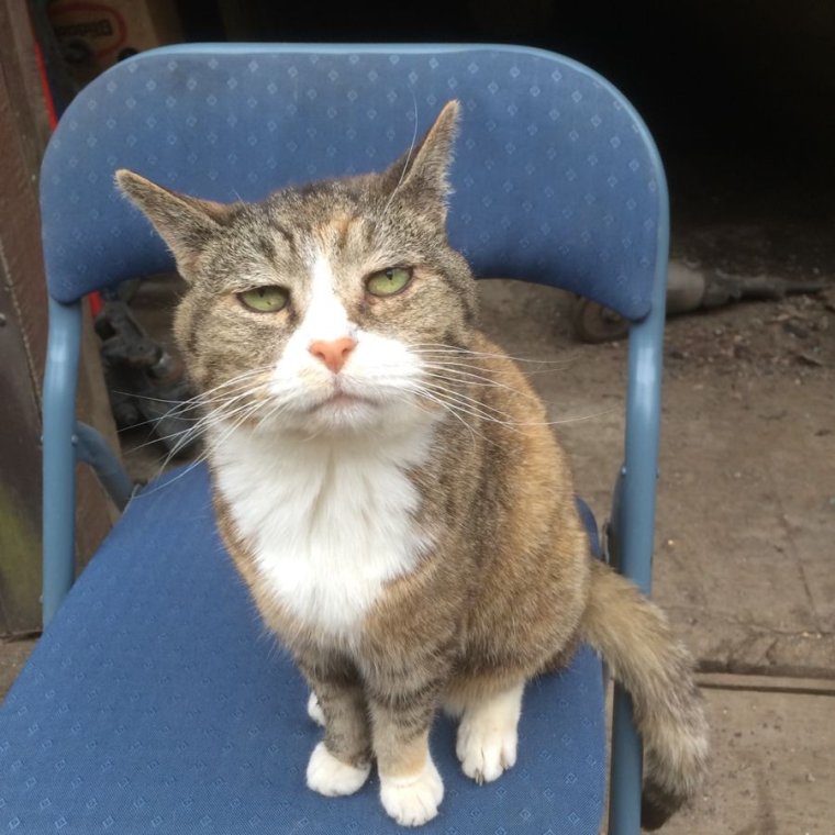 Наконец то пятница приколы