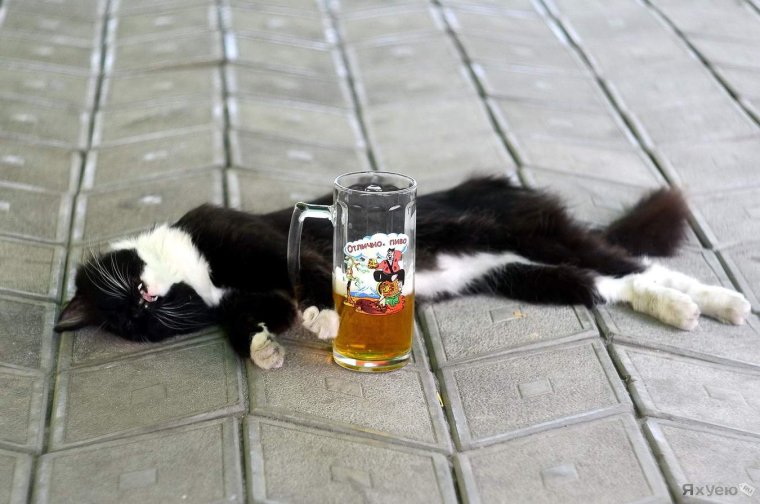 Антипятница недопятница малая пятница