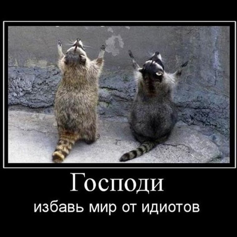 Интеллектуальные шутки про пятницу