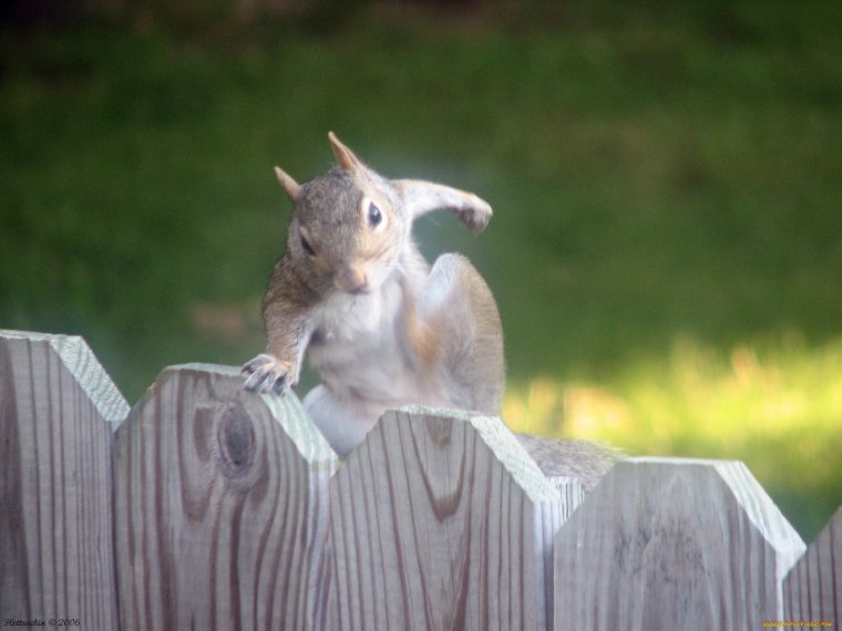 Уже пятница картинки