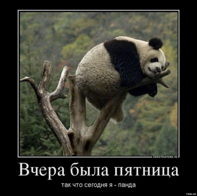 Фотографии с пятницей