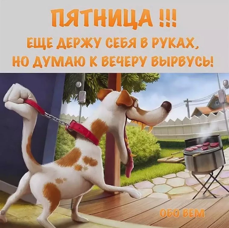 Обезьяна танцует