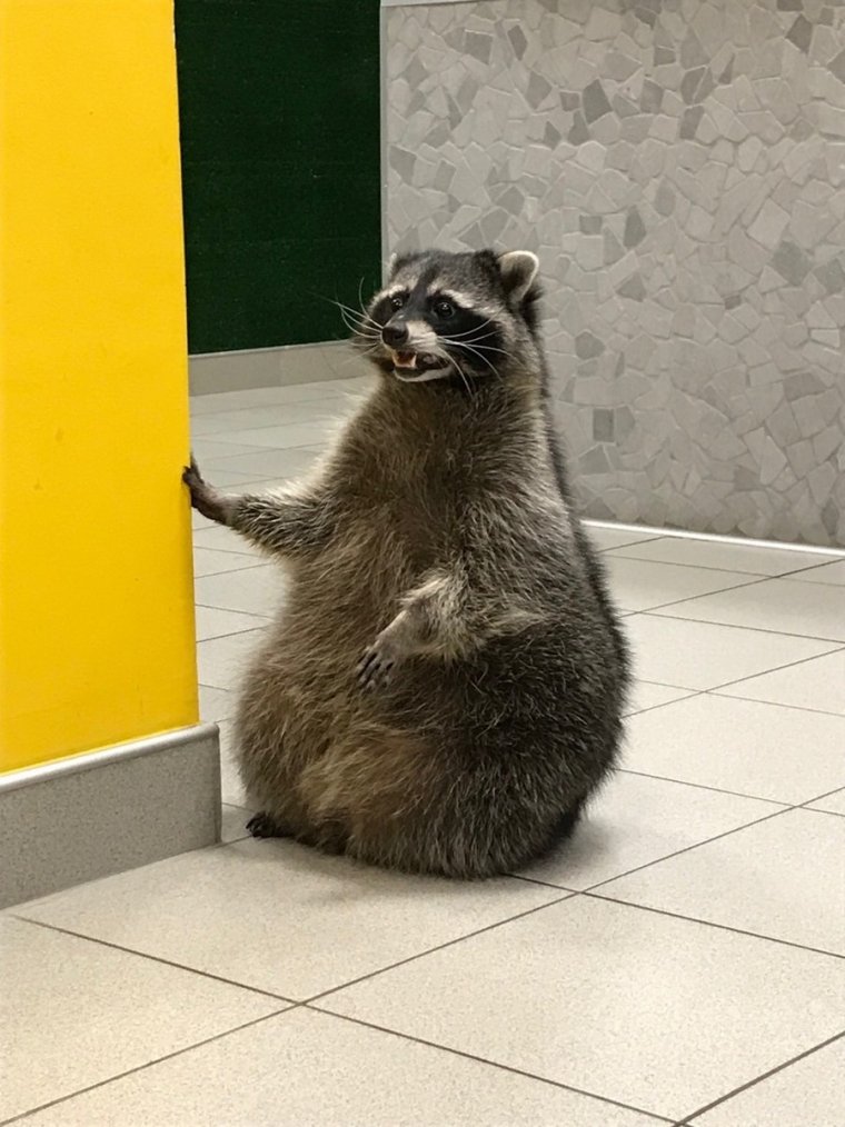 Пятница Веселые картинки с подписями