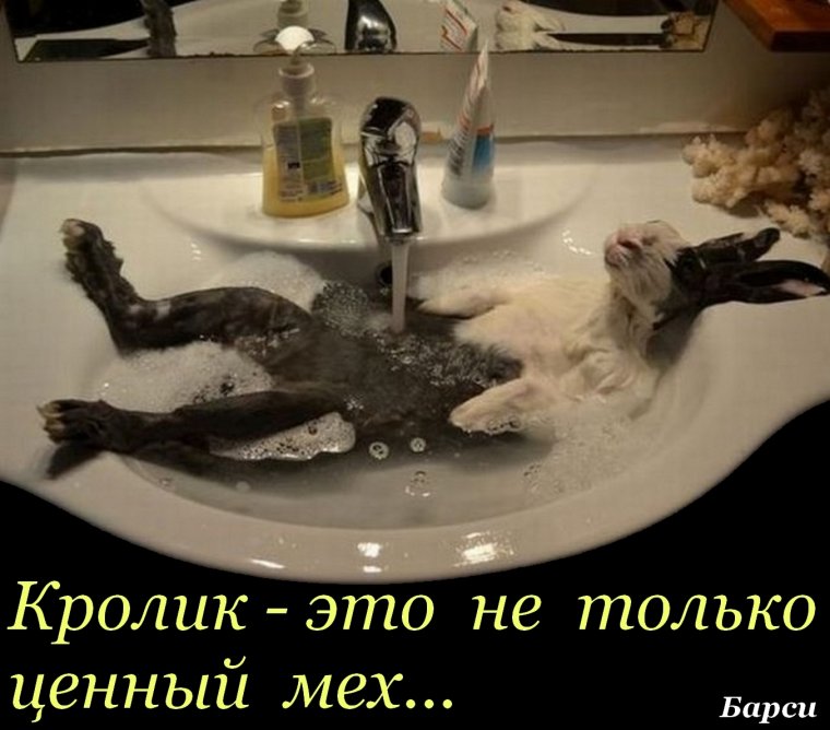 Пятничные приколы свежие