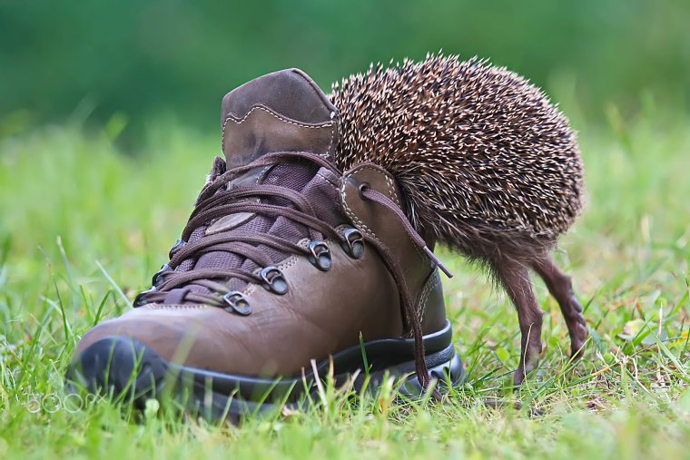 Классные картинки со смыслом