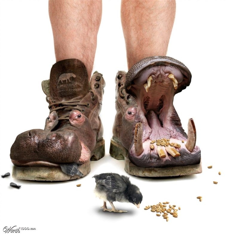 Ботинки прикол