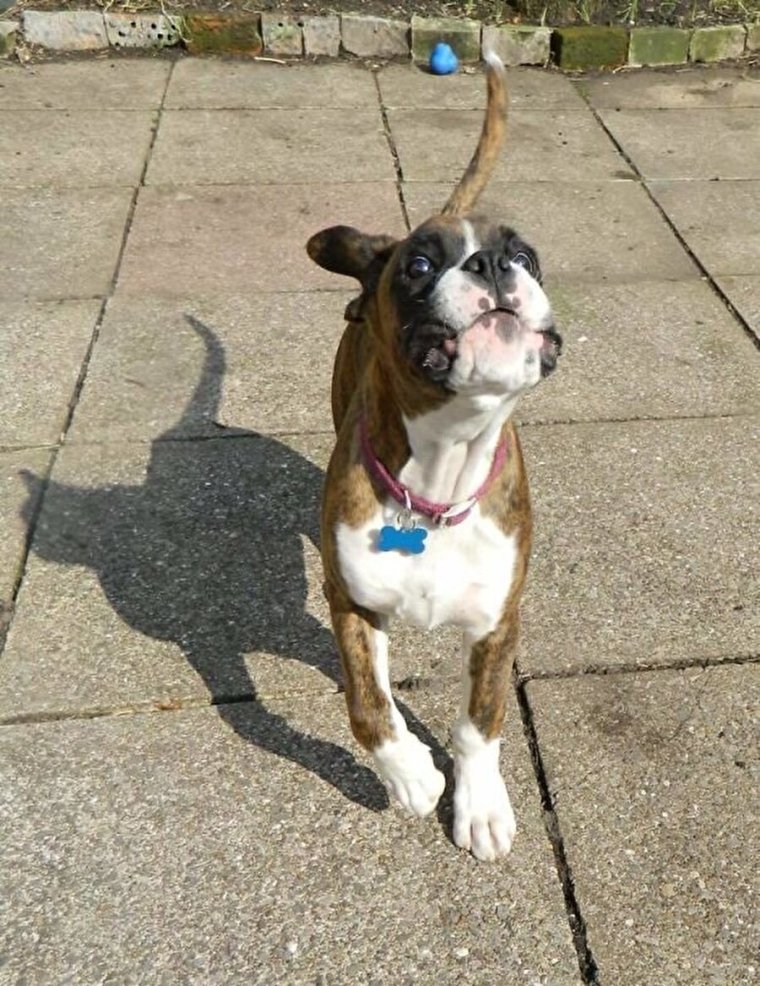 Смешные тени на фото