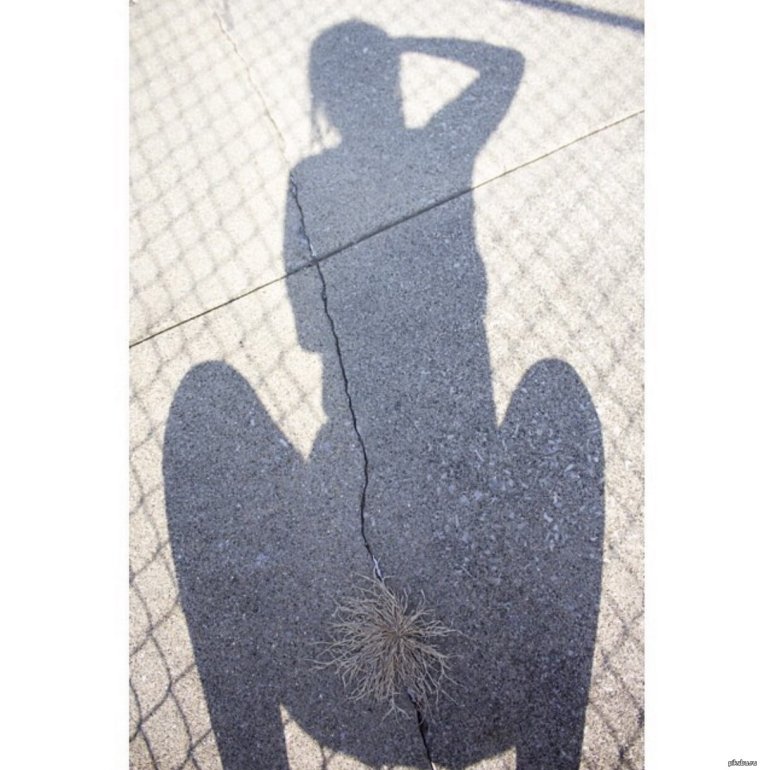 Тень смешные картинки