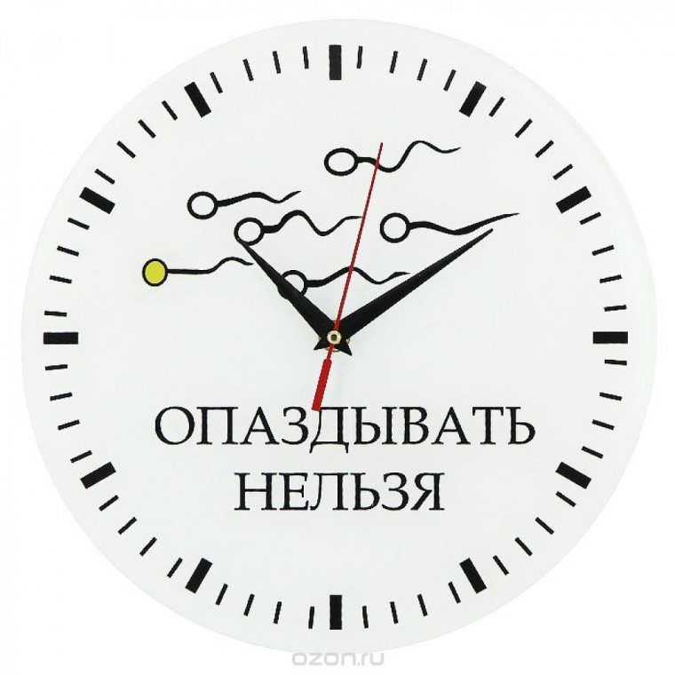 Часы настенные кварцевые Viron 222454