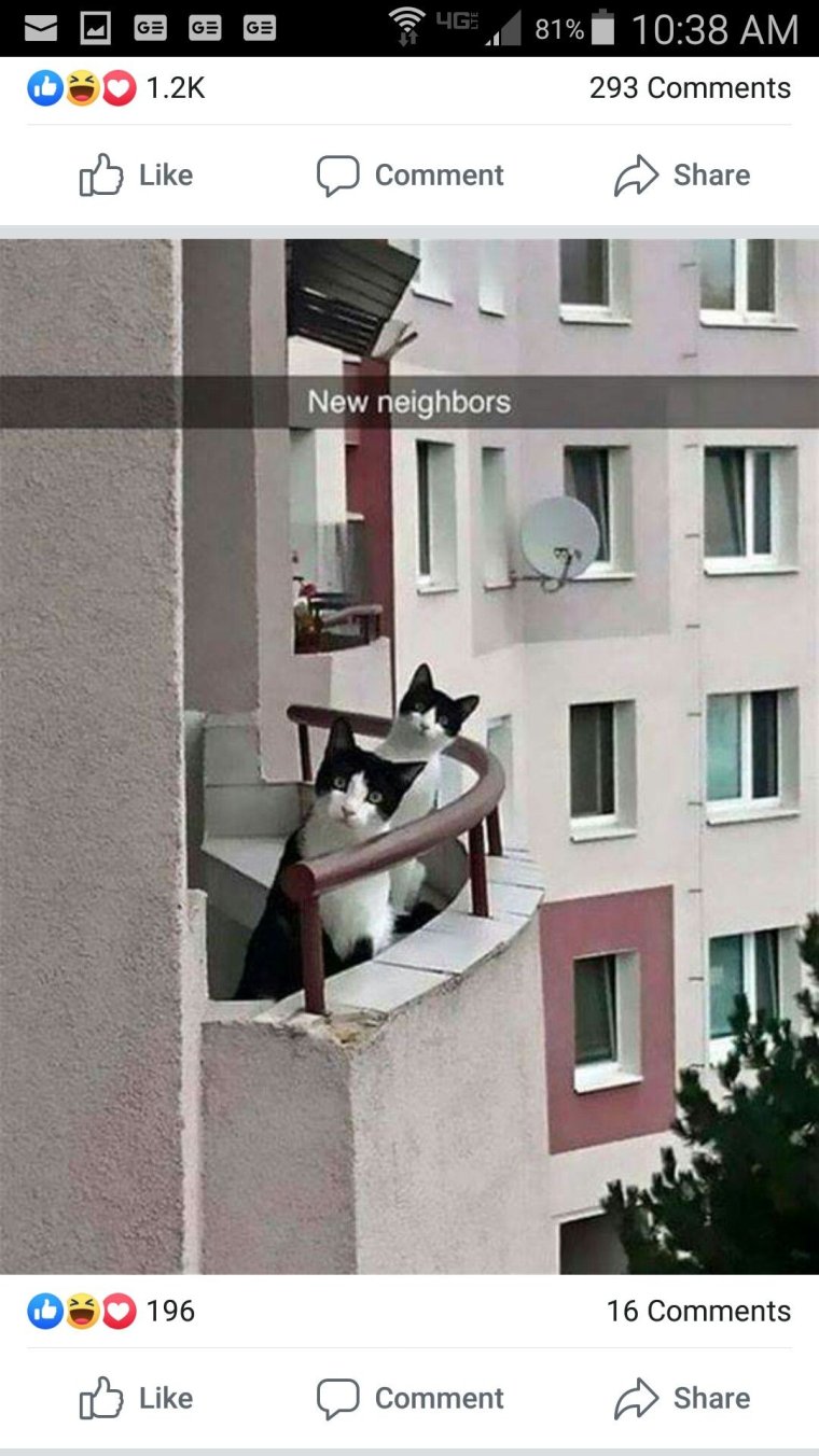 Новая квартира прикол