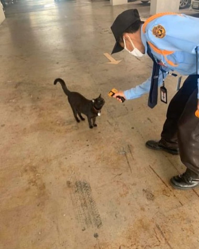 Приколвпро коронавирус