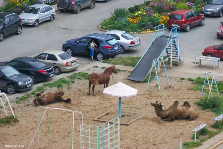 Приколы про детскую площадку