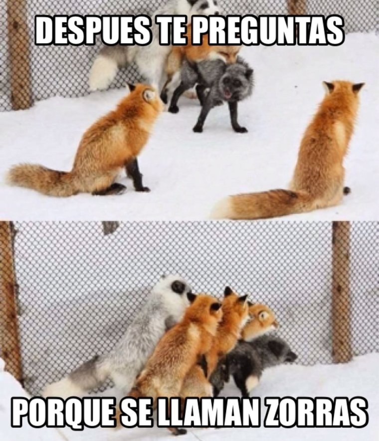 Мем с лисами заказчик