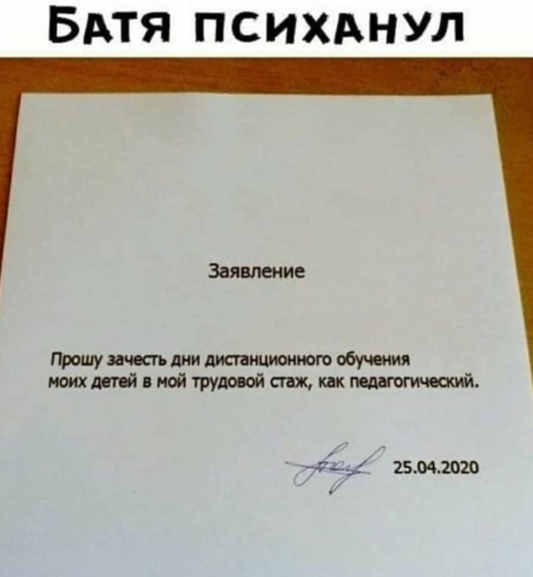 Заявление прошу