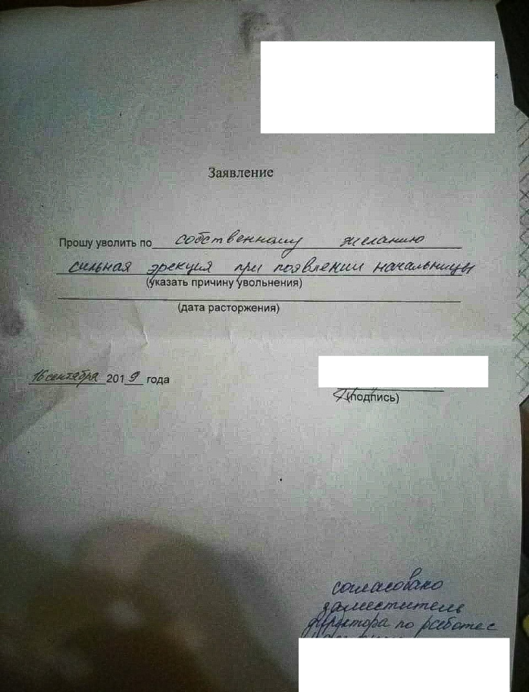 Креативное заявление на отпуск