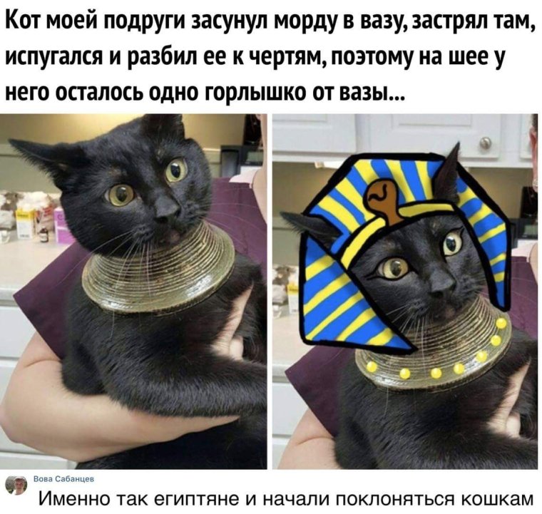 Бендер фараон