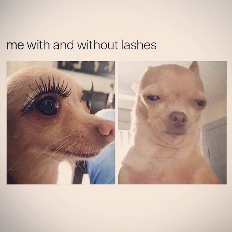 Девушка без ресниц прикол