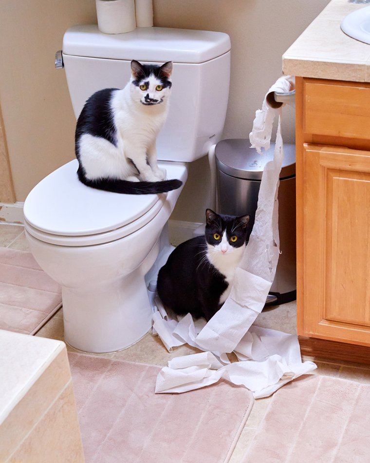 Юморные фото