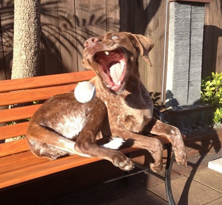 За секунду до приколы