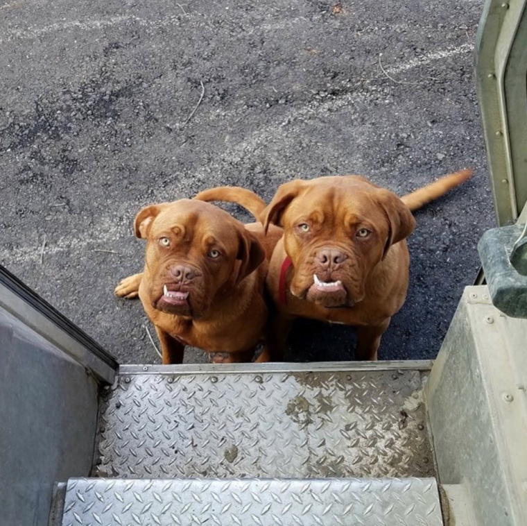 Выборка фото смешное