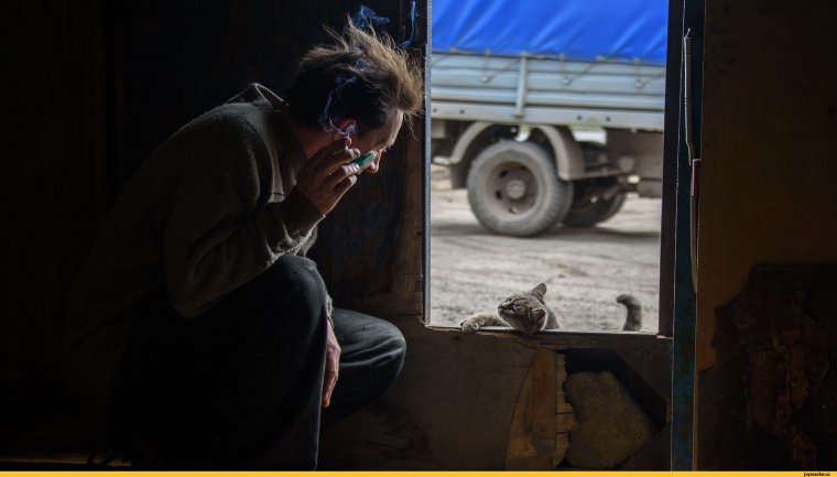 Немой диалог