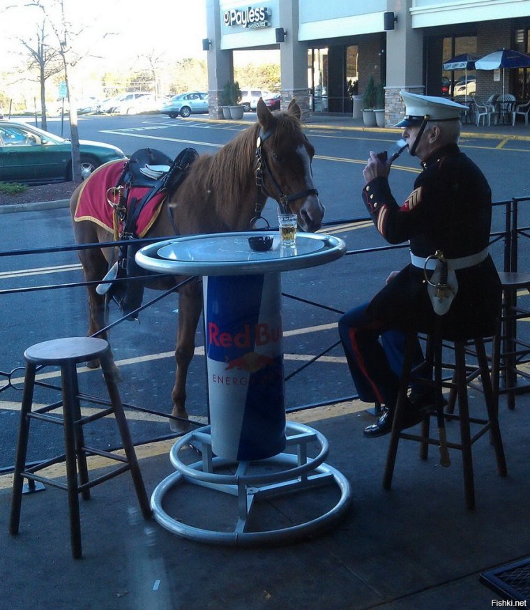Фото приколы ноябрь 2020