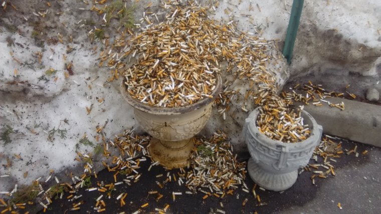 Перекур фото приколы