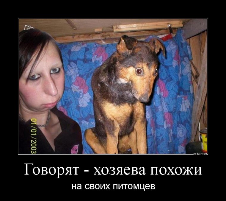 Не верь не бойся не проси