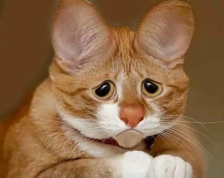 Вчера пил с женщинами