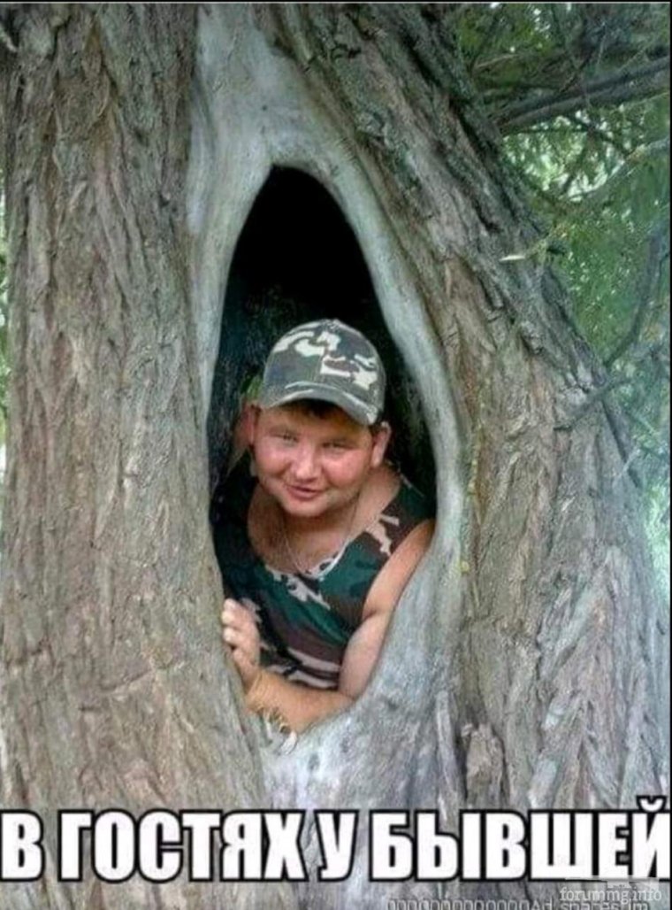 Дупло прикол