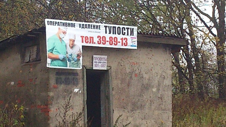 Тупость не порок