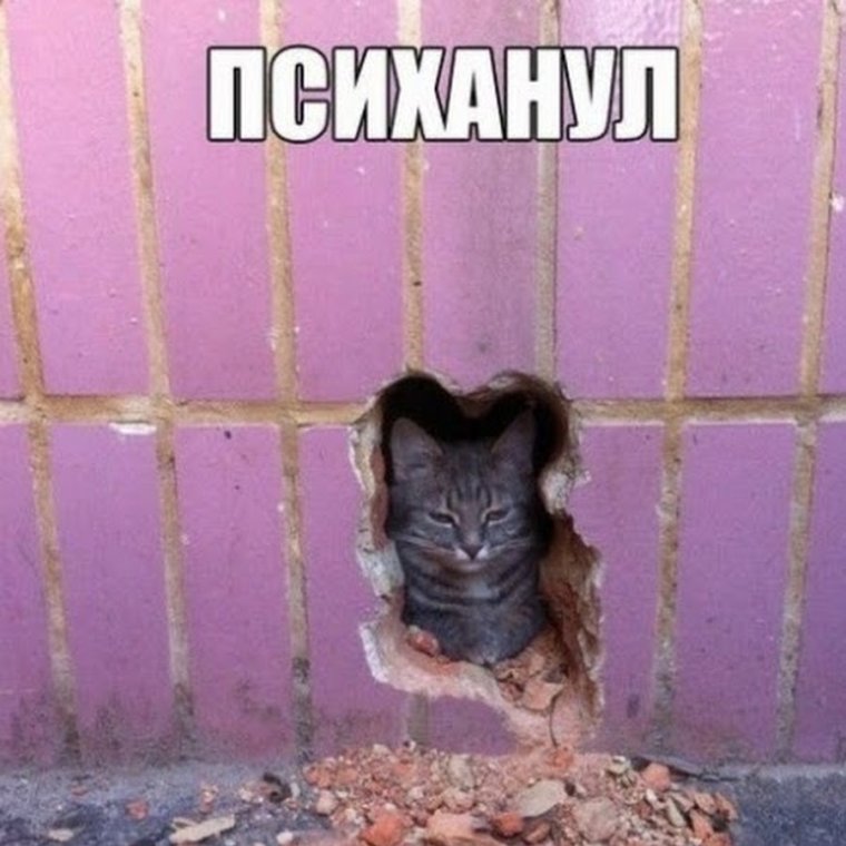 Здравствуйте я представитель компании Орифлейм