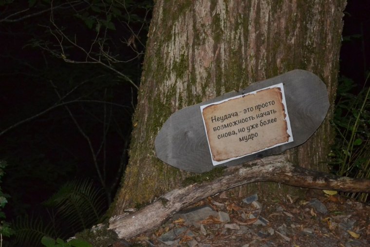 Собака охреневака