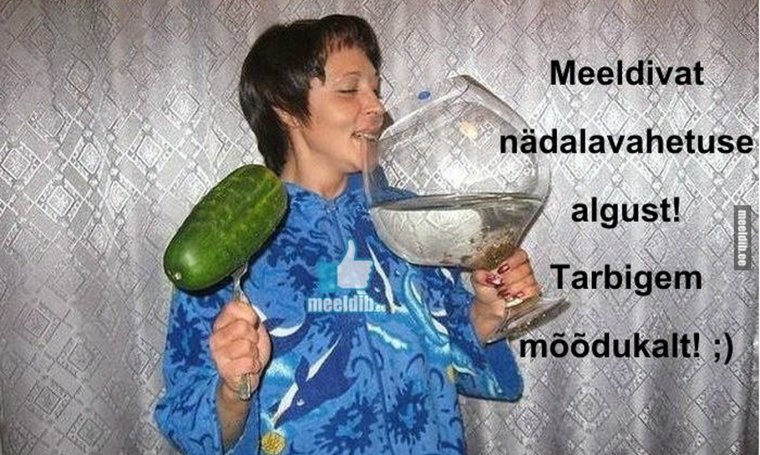 Мемы с котами и надписями Наташа