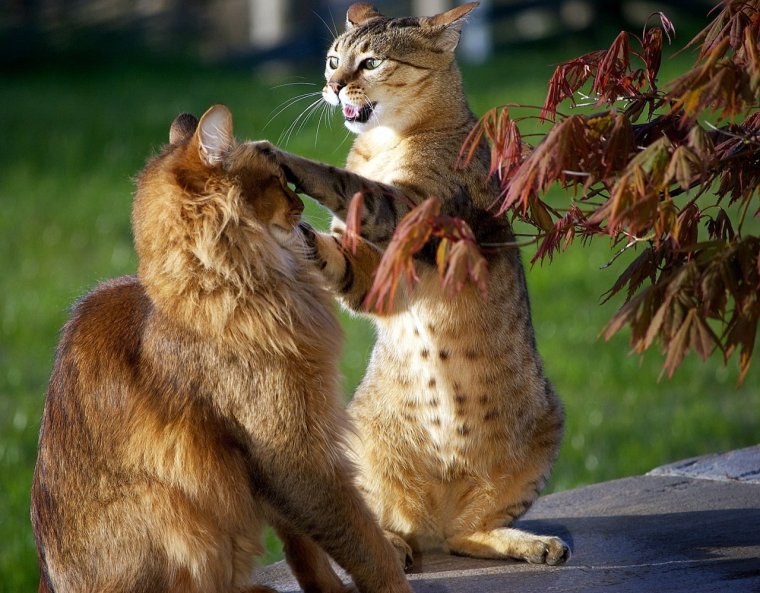 Ревность фото приколы