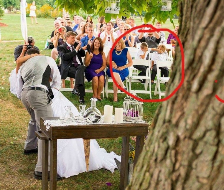 Смешные события