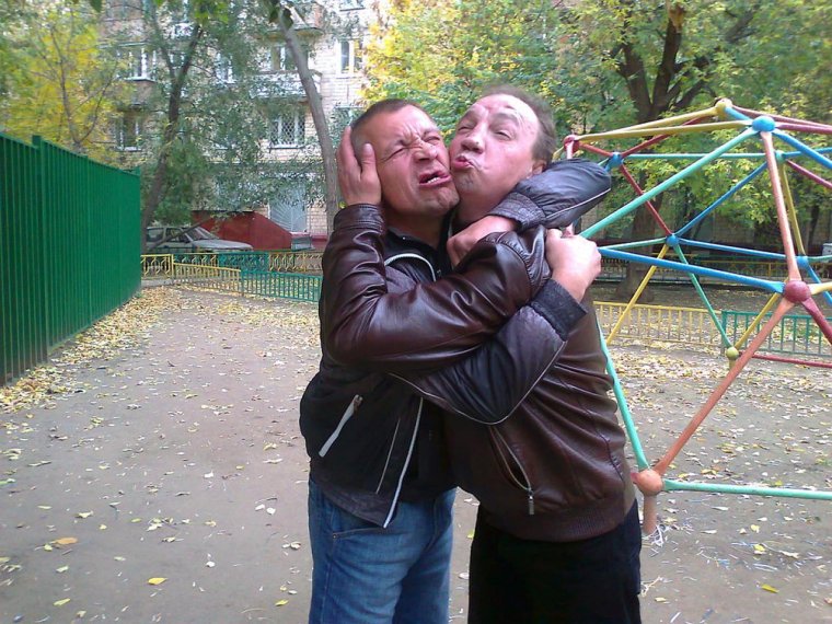 Домашние животные