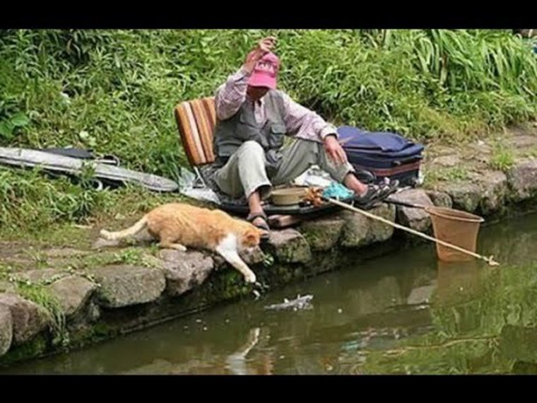 Телка с рыбой