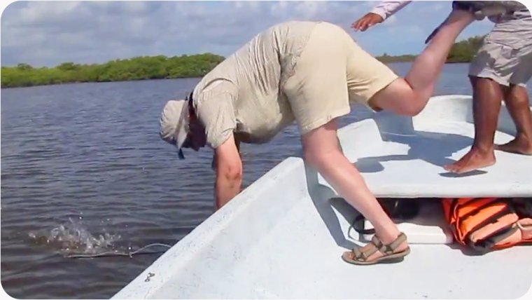 Курьезы на рыбалке