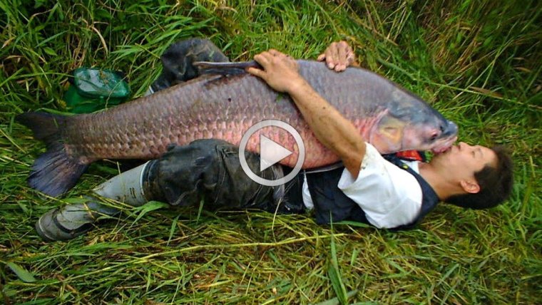 Женщины на рыбалке приколы