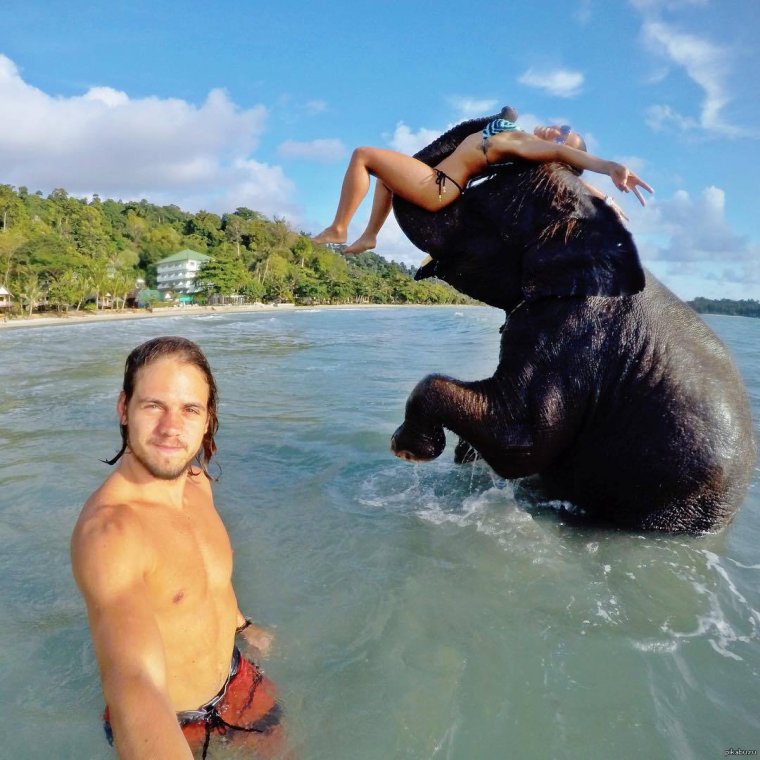 Аллан Диксон