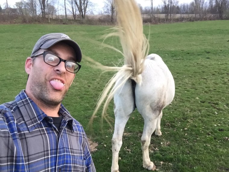 Мужчина с лошадью селфи