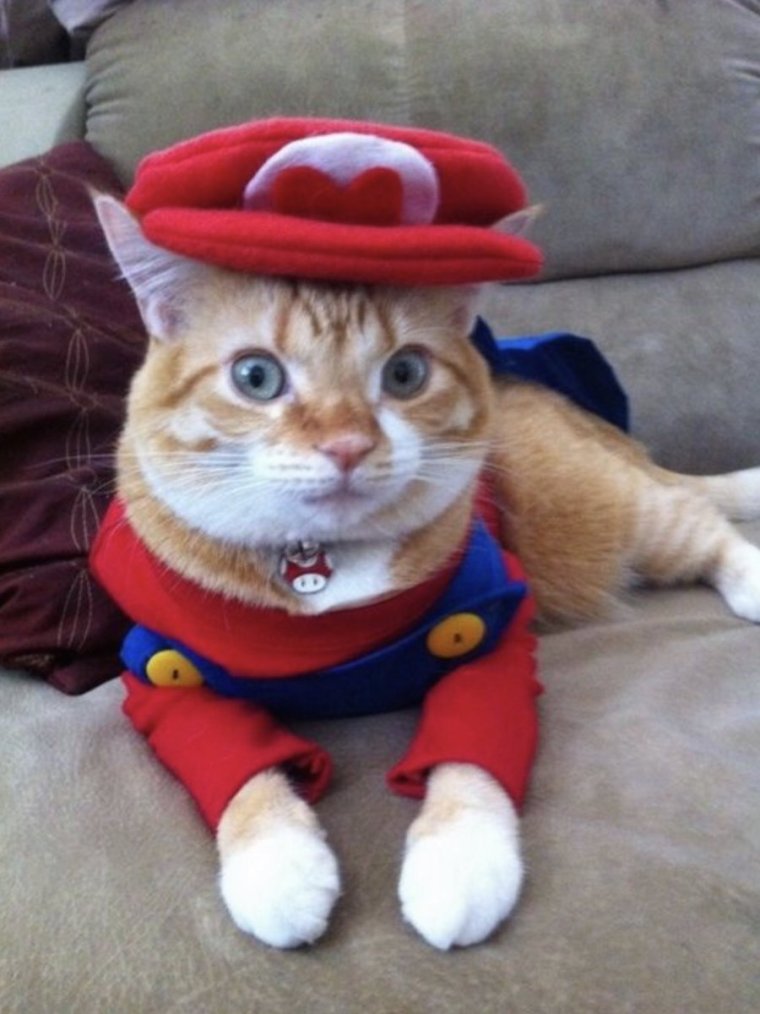 Костюм рыжего кота