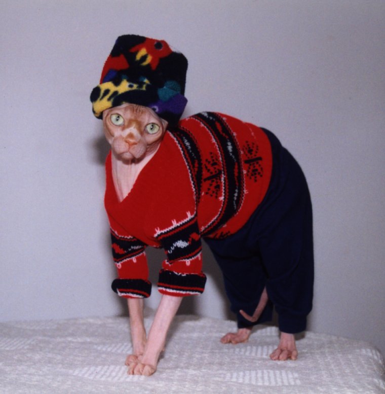 Смешные новогодние костюмы для старушек