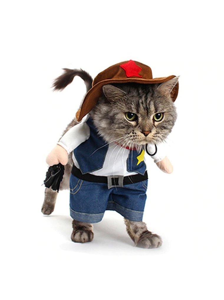 Костюмы для котиков