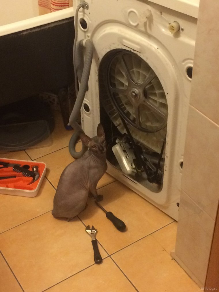 Сломалась стиральная машина прикол