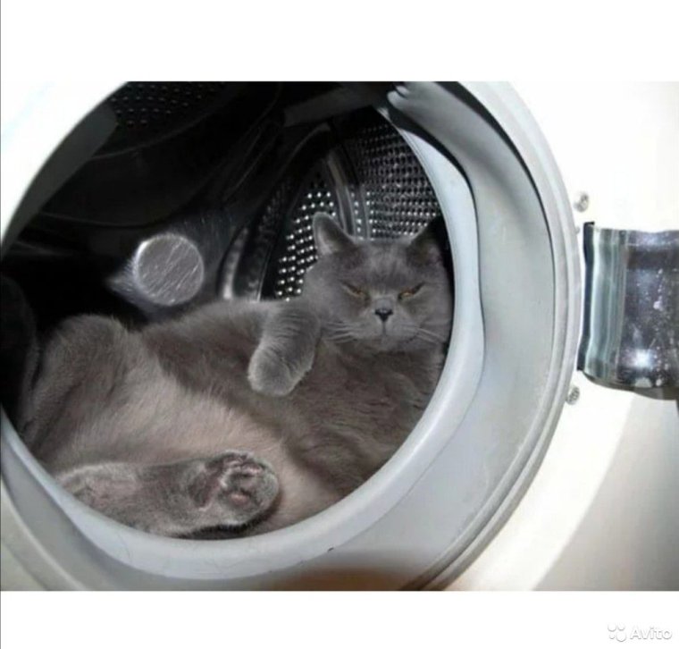 Стиральная машина юмор